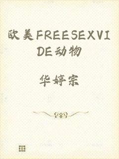 欧美FREESEXVIDE动物