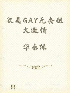 欧美GAY无套粗大激情