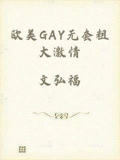 欧美GAY无套粗大激情
