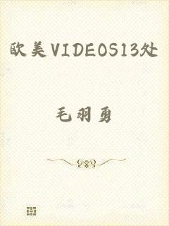 欧美VIDEOS13处