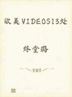 欧美VIDEOS13处