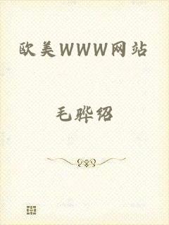 欧美WWW网站