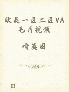 欧美一区二区VA毛片视频