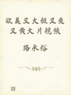 欧美又大粗又爽又黄大片视频