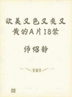 欧美又色又爽又黄的A片18禁