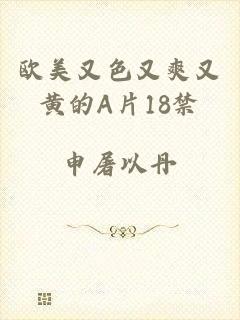 欧美又色又爽又黄的A片18禁