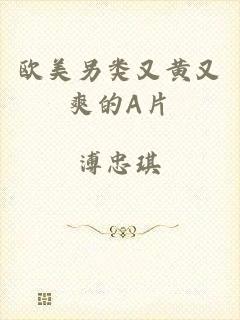 欧美另类又黄又爽的A片