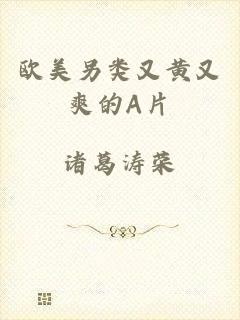 欧美另类又黄又爽的A片