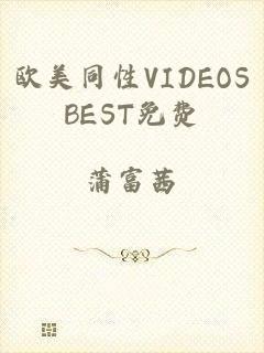欧美同性VIDEOSBEST免费
