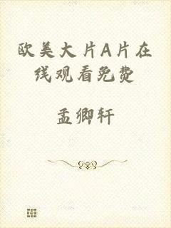 欧美大片A片在线观看免费