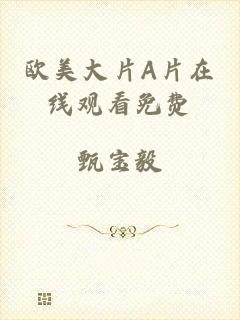 欧美大片A片在线观看免费