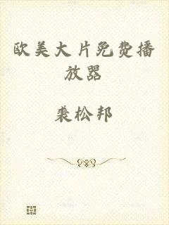 欧美大片免费播放器