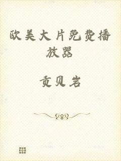 欧美大片免费播放器