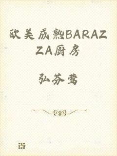 欧美成熟BARAZZA厨房