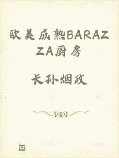 欧美成熟BARAZZA厨房