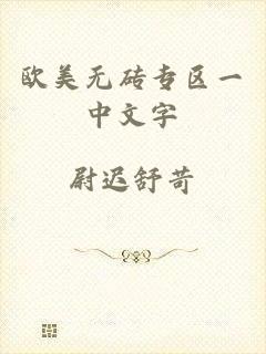 欧美无砖专区一中文字