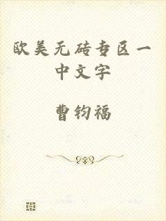 欧美无砖专区一中文字