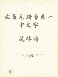 欧美无砖专区一中文字