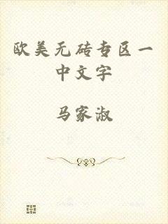 欧美无砖专区一中文字