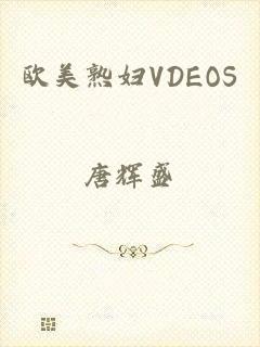 欧美熟妇VDEOS