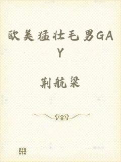 欧美猛壮毛男GAY