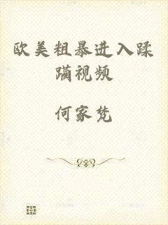欧美粗暴进入蹂躏视频