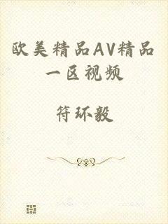 欧美精品AV精品一区视频