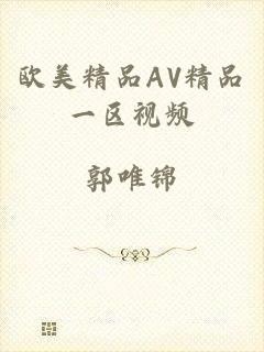 欧美精品AV精品一区视频