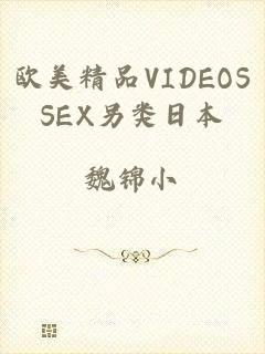 欧美精品VIDEOSSEX另类日本