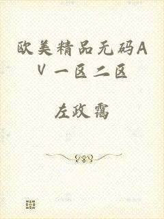 欧美精品无码AⅤ一区二区