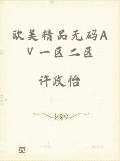 欧美精品无码AⅤ一区二区