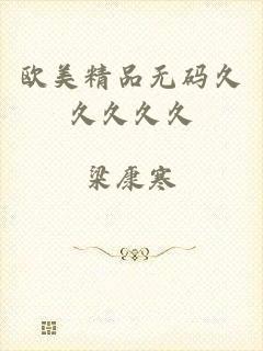 欧美精品无码久久久久久