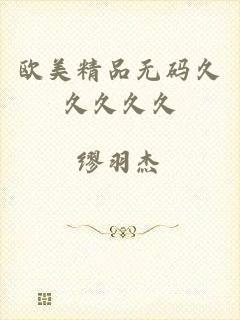 欧美精品无码久久久久久