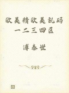欧美精欧美乱码一二三四区