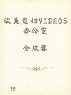 欧美贵妇VIDEOS办公室