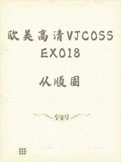 欧美高清VJCOSSEXO18