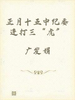 正月十五中纪委连打三“虎”