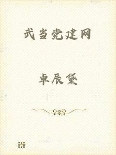 武当党建网