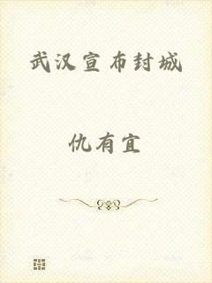 武汉宣布封城