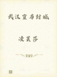 武汉宣布封城