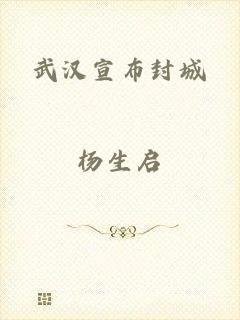 武汉宣布封城