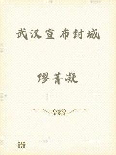 武汉宣布封城