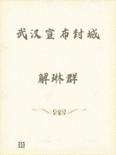 武汉宣布封城