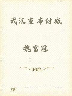 武汉宣布封城