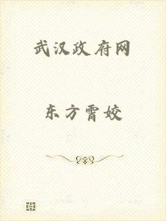 武汉政府网