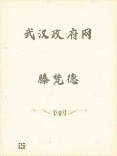 武汉政府网