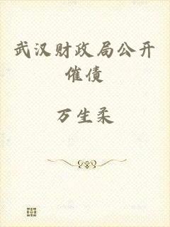 武汉财政局公开催债