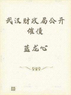 武汉财政局公开催债