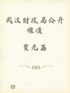 武汉财政局公开催债