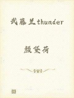 武藤兰thunder